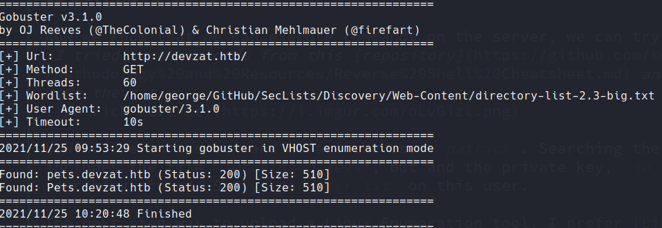 gobuster vhost scan results