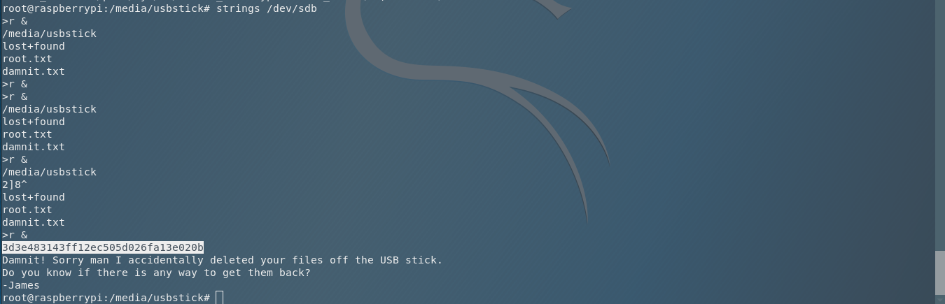 root flag recovered from raw block device